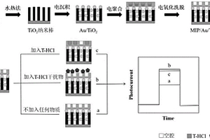 檢測鹽酸四環素的TiO2基分子印跡型光電化學傳感器及其制備方法
