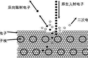 檢測源極多晶硅經化學機械研磨后表面異常的方法