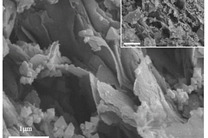 基于Ti3C2Tx@UIO-66-NH2的電化學生物傳感器及其檢測方法