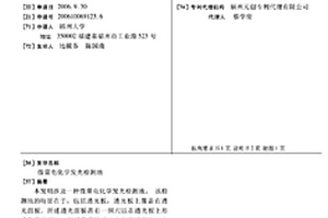 微量電化學發光檢測池