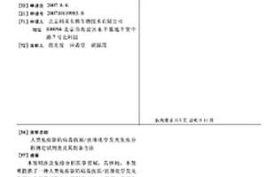 人類免疫缺陷病毒抗原/抗體化學發光免疫分析測定試劑盒及其制備方法