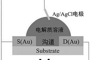 基于有機電化學晶體管的生物傳感器及檢測方法