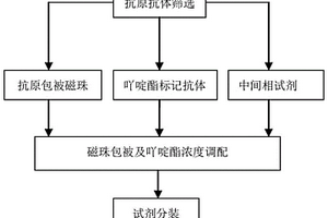 檢測單純皰疹病毒1+2型IgM抗體的化學發光免疫分析試劑盒及其制備方法