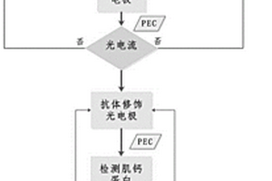 用于心肌損傷標記物檢測的光電化學免疫傳感器的制備方法