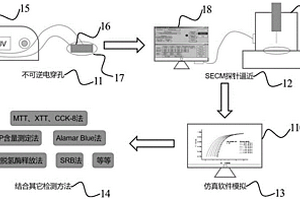 利用掃描電化學顯微鏡（SECM）檢測不可逆電穿孔程度的方法