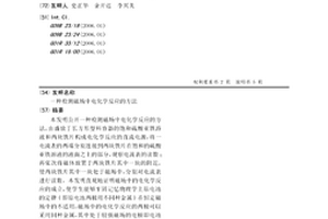檢測磁場中電化學反應的方法