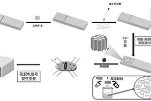 基于細胞電化學味覺傳感器高靈敏快速檢測α-羥基山椒素的方法