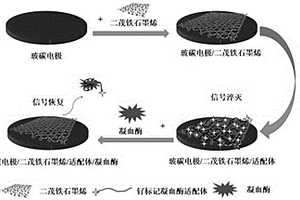 檢測凝血酶的電化學發光生物傳感器及其制備方法