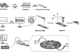 用于快速檢測重金屬離子的無修飾柔性電化學傳感器及其制備方法和應用
