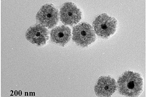 檢測癌胚抗原的電化學生物傳感器及其制備方法