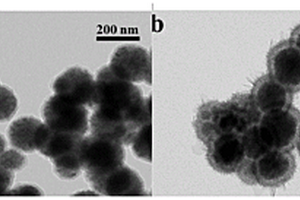 Fe<Sub>3</Sub>O<Sub>4</Sub>@PDA@MnO<Sub>2</Sub>核殼納米顆粒的制備及對重金屬離子的富集和電化學檢測