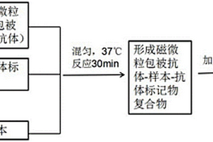 用于NPTX2的磁微?；瘜W發光免疫檢測試劑盒
