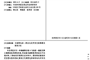 毛細管電泳-固態電化學發光檢測器及制備方法