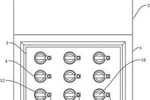 非洲豬瘟病毒化學發光抗體檢測試劑盒