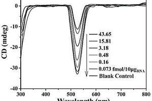 基于金-上轉換納米粒子四面體的雙信號原位檢測胞內microRNA的方法