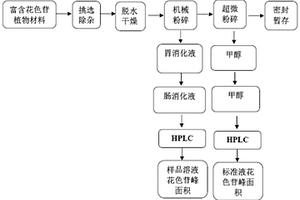 檢測食物中花色苷生物可接受率的方法