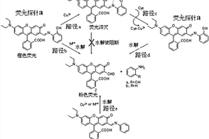 快速檢測半胱氨酸的熒光探針及其合成方法與應用