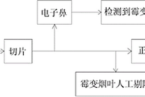 卷煙生產線在線霉變檢測方法