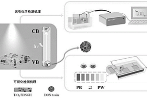 新型光電/可視化雙模式傳感器的構建方法及其在嘔吐毒素檢測上的應用