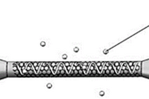 基于氧化石墨烯包覆微纖傳感器的SARS-CoV-2實時體外快速檢測系統