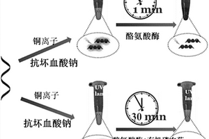 熒光生物傳感器、制備方法及其檢測有機磷農藥的應用
