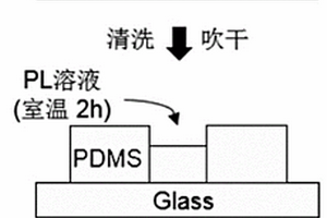 蛋白質芯片熒光檢測方法