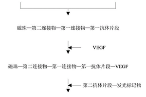 血管內皮生長因子檢測試劑盒及其使用方法和應用