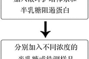 基于滾環擴增技術的檢測半乳糖的方法