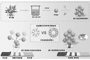 單寧酸免疫網絡及鹽酸克倫特羅試紙條檢測方法