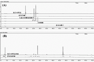 補血益母丸指紋圖譜的建立及質量檢測方法