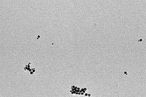 不對稱金納米粒子二聚體免疫傳感器檢測黃曲霉毒素的方法