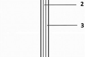 可用于Cu<sup>2+</sup>檢測的功能修飾針灸針電極及其制備方法