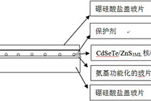 近紅外量子點單光子源的制備方法及檢測方法
