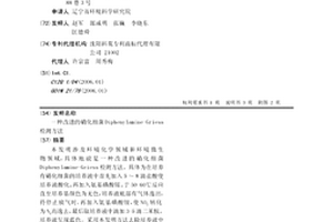 改進的硝化細菌Diphenylamine-Griess檢測方法