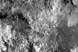 偶聯有鏈霉親和素的磁小體及生物分離、免疫檢測方法