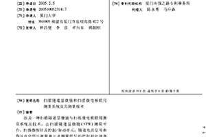掃描隧道顯微鏡和掃描微電極聯用測量系統及其測量技術