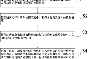 活細胞線粒體中還原型谷胱甘肽的濃度測定方法