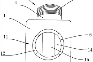 帶檢查窗口的PTFE反應容器