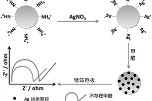 檢測甲醛的Ag+-SiO<sub>2</sub>的材料及制備方法、檢測方法