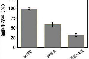 腫瘤電脈沖化學治療系統
