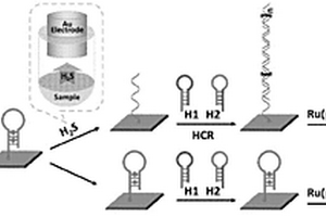 高靈敏H<sub>2</sub>S電致化學發光傳感器的制備方法及其應用