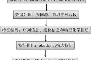 識別酪氨酸翻譯后修飾位點的預測算法