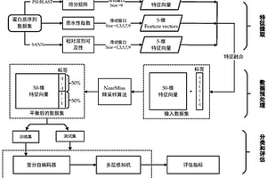 基于深度學習的蛋白質相互作用位點預測方法