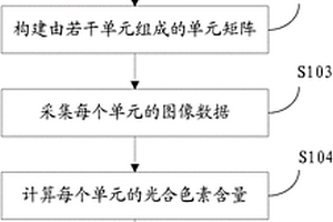 大豆葉片的光合色素測定方法及系統