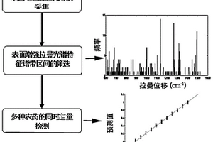 基于表面增強拉曼光譜預測混合農藥溶液中各農藥含量的方法