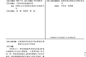 旁路超臨界水氧化環境pH值在線測試方法及其專用設備