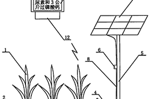 帶太陽能光伏發電向化學傳感器供電的肥水調控裝置