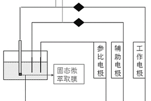 復雜體系中化合物的萃取、檢測裝置及方法