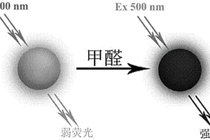 能檢測甲醛的水溶性熒光碳點傳感器的制備及應用