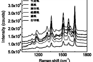 表面增強拉曼檢測試紙及其應用